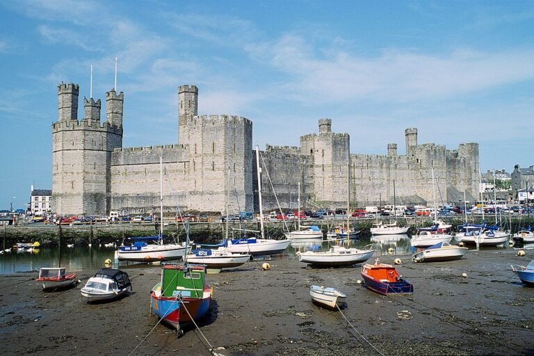 A sunny wide-angle photo of Caernarfon Castle, a large grey stone medieval fortress with many polygonal towers and extensive walls, dominating the background. In the foreground, numerous small boats are moored in a muddy harbour at low tide. The sky is bright blue with light clouds. Cars and buildings of the town are visible behind the boats and around the castle.