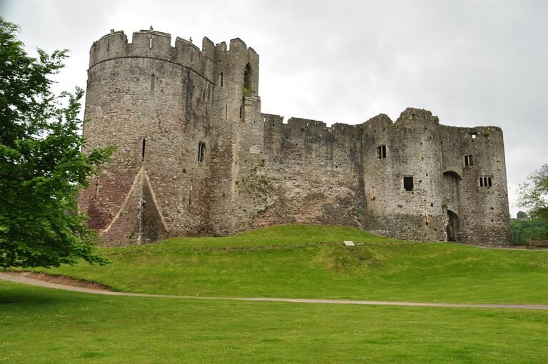 A side view of Chepstow Castle, a large medieval stone fortress with a prominent circular tower on the left, connected to extensive high walls and other ruined structures. The castle sits on a grassy mound, with a pathway curving in the foreground. A vibrant green tree partially frames the left side of the castle. The sky is overcast and grey.