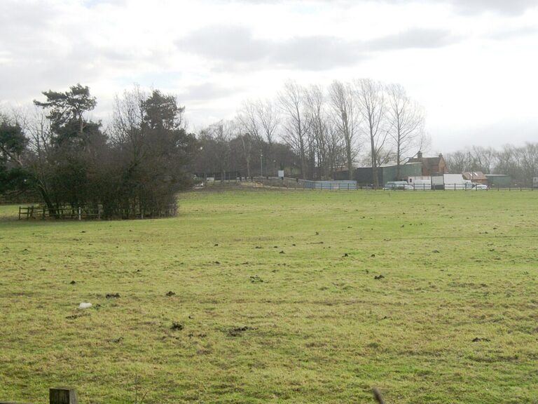 Risinghoe Castle: A wide, grassy field with a line of trees and a building in the background, where the low earthwork mound of Risinghoe Castle is visible.